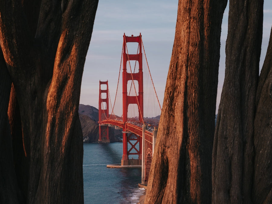Things to Do Near the Golden Gate Bridge: A Local's Guide to the Best Views