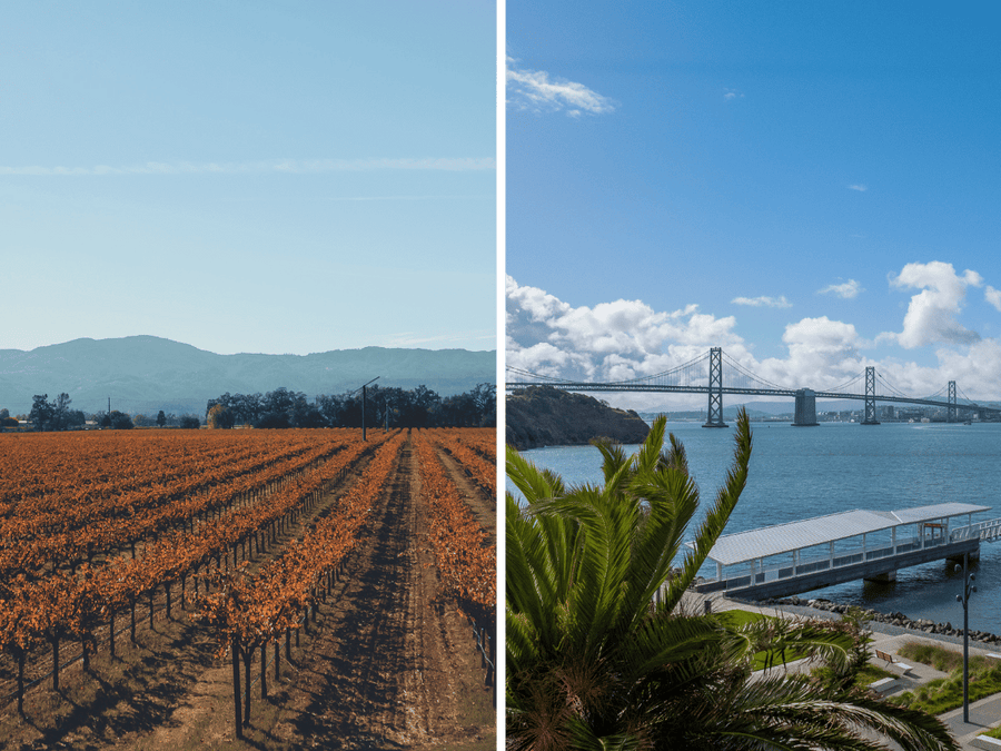 Napa or Treasure Island? Two Great San Francisco Day Trips