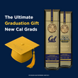 Load image into Gallery viewer, Gold Bar® Whiskey Original - Cal Golden Bears Limited Edition
