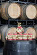 Load image into Gallery viewer, Gold Bar Whiskey Retro Edition - Joe Montana Collection
