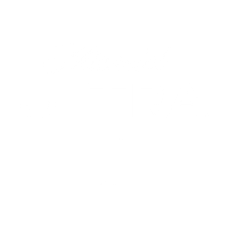 Partner Name